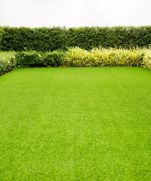 Grass field meadow green on the garden front of the house.